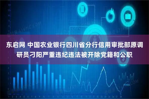 东启网 中国农业银行四川省分行信用审批部原调研员刁阳严重违纪违法被开除党籍和公职