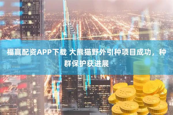 福赢配资APP下载 大熊猫野外引种项目成功，种群保护获进展