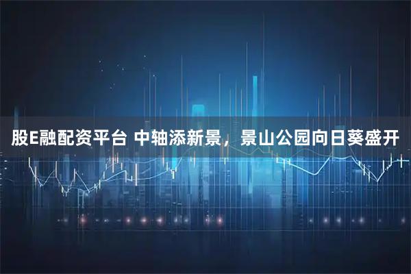 股E融配资平台 中轴添新景，景山公园向日葵盛开